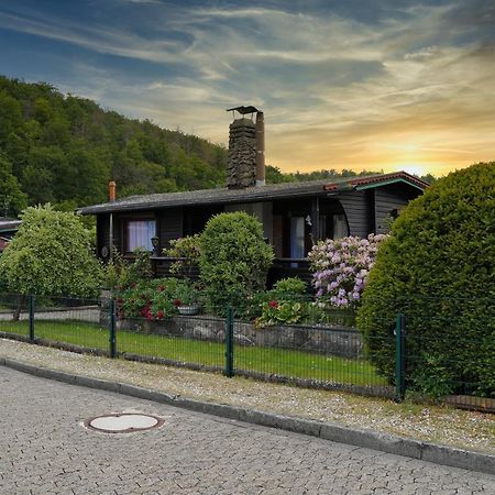 Apartmán Ferienblockhaus Harzidyll Wieda Exteriér fotografie