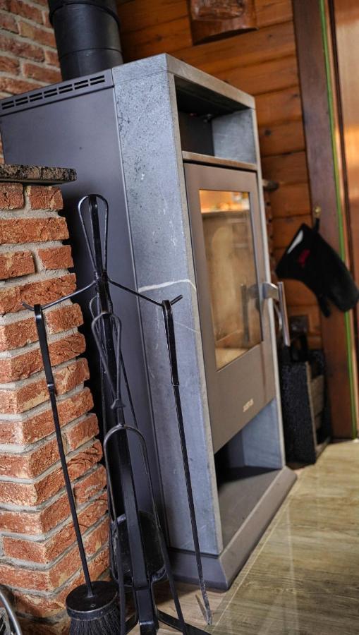 Apartmán Ferienblockhaus Harzidyll Wieda Exteriér fotografie
