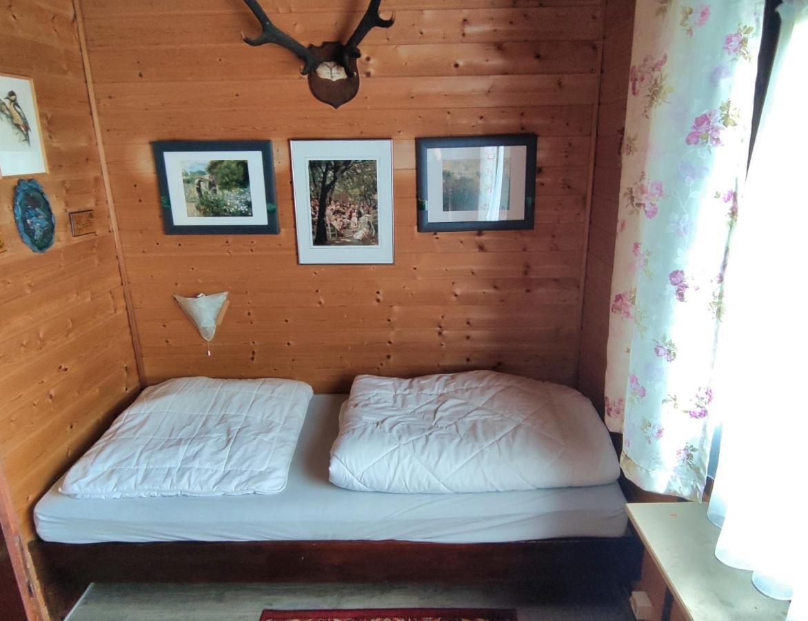 Apartmán Ferienblockhaus Harzidyll Wieda Exteriér fotografie