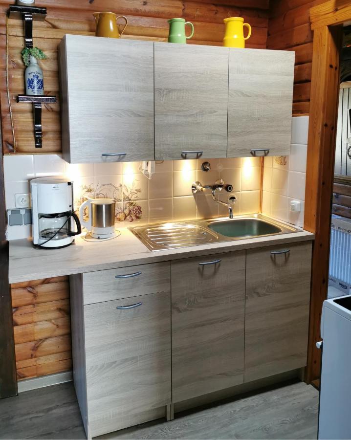 Apartmán Ferienblockhaus Harzidyll Wieda Exteriér fotografie